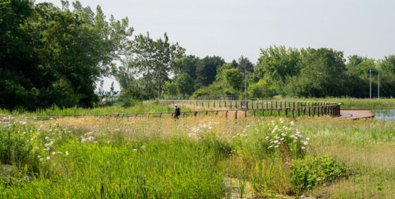 Humber Bay Park East