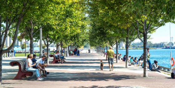 Toronto's Waterfront Revitalization